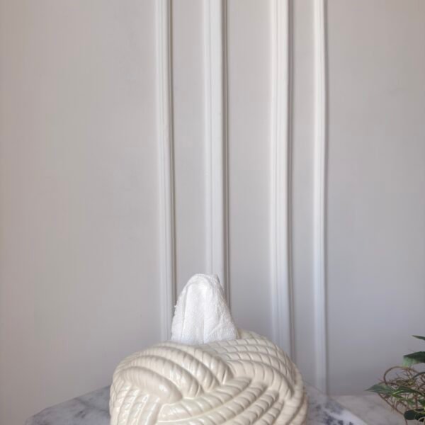 Ceramic tissue box